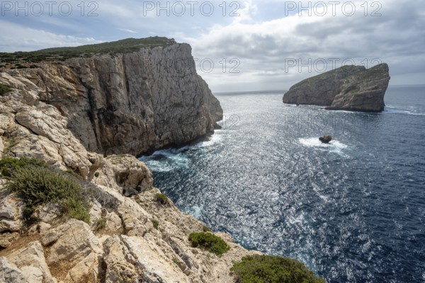 Steep cliffs by the sea and the rocky island of Isola Foradada, Belvedere Foradada, cliffs on the Capo Caccia headland, Alghero, Sardinia, Italy