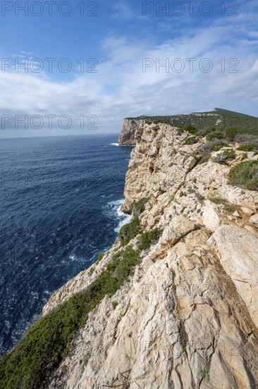 Steep cliffs by the sea, Belvedere Foradada, cliffs on the Capo Caccia headland, Alghero, Sardinia, Italy
