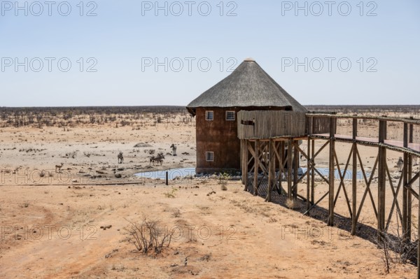 Olifantsrus Camp, waterhole, Etosha National Park, Namibia