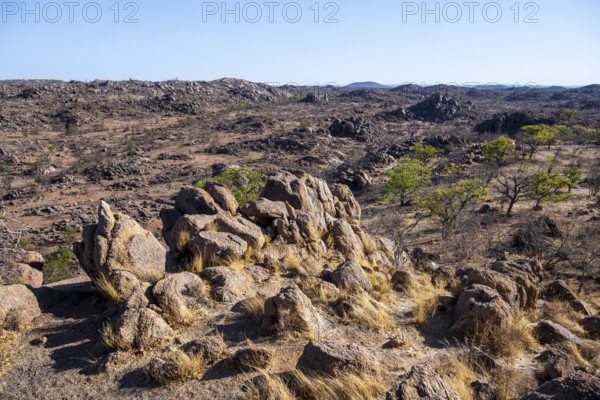 Hobatere Concession, Arid Landscape in Western Etosha National Park, Namibia