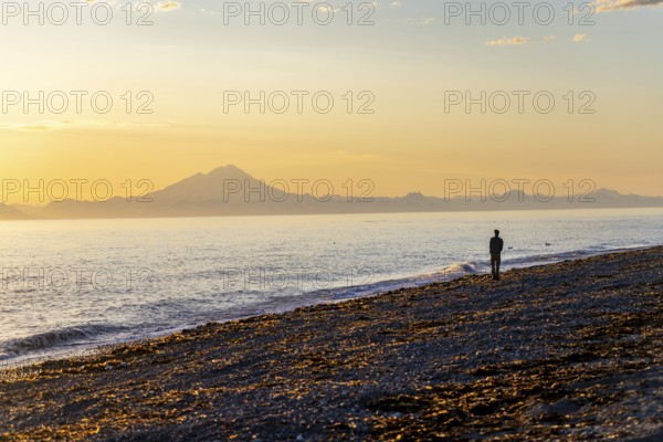 Young man walking along the beach at sunset, view across Cook Inlet to white mountain peaks of Mount Redoubt, Aleutian Range Mountains, Anchor Point, Anchor River State Recreation Area, Alaska, USA