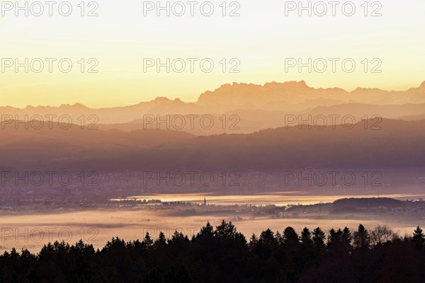 View from Horben of Lake Zug with the city of Cham and Zug covered in fog, behind it the snow-capped mountains Flübrig and Vrenelisgärtli in the light of the rising sun, Beinwil-Freiamt, Canton, Aargau, Switzerland