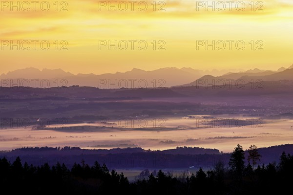 View from Horben of the Reuss Valley covered in fog, behind it the Alpstein with the Säntis in the light of the rising sun, Beinwil-Freiamt, Canton, Aargau, Switzerland