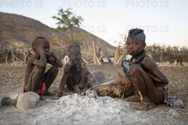 Himba children sitting by the fire in the morning light, traditional Himba village, Kaokoveld, Kunene, Namibia