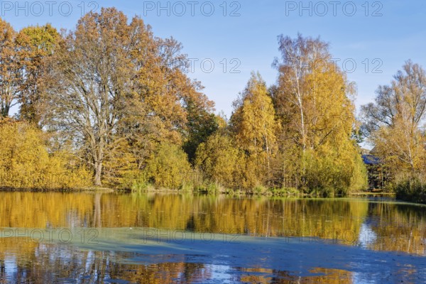 Autumn colors on Sandbrack, a lake in the Kirchwerder district of Hamburg. Fünfhausen, Kirchwerder, Hamburg, Germany