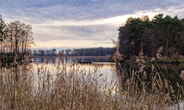 Neuendorfer See in the evening near Alt Schadow, Märkische Heide, in the Spreewald UNESCO Biosphere Reserve. Alt Schadow, Brandenburg, Germany