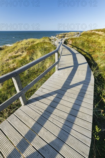 Wooden trail near Kampen along the coast of the island of Sylt, Germany