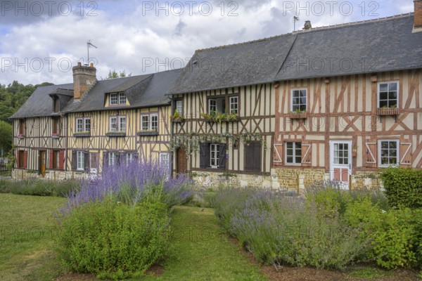 Lavender and timbered houses, Le Bec-Hellouin, Eure, France