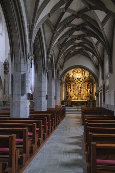 Interior view of Radolfzell Cathedral of Our Lady, Radolfzell am Lake Constance, Konstanz district, Baden-Württemberg, Germany