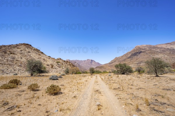 Sand track leads through desert landscape with Brandberg, Erongo, Damaraland, Namibia