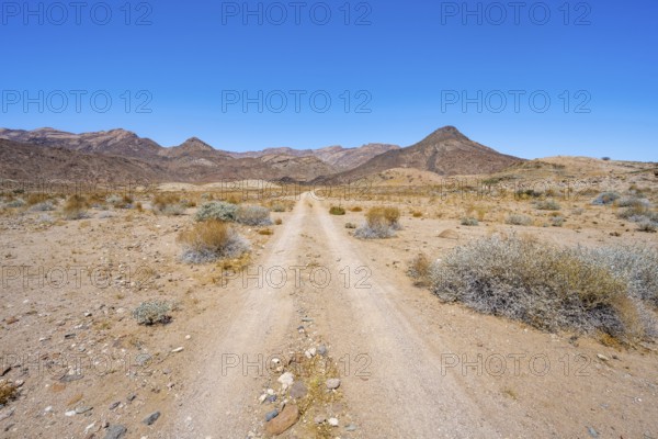 Sandy track through desert landscape with Brandberg, Erongo, Damaraland, Namibia