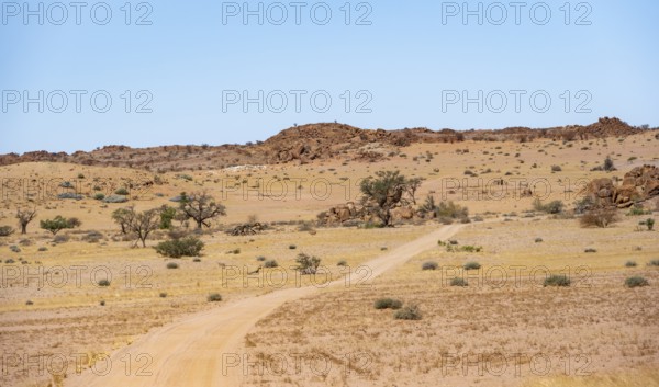 Sand track leads through desert landscape, barren landscape with hills of stacked rocks, Brandberg, Erongo, Damaraland, Namibia