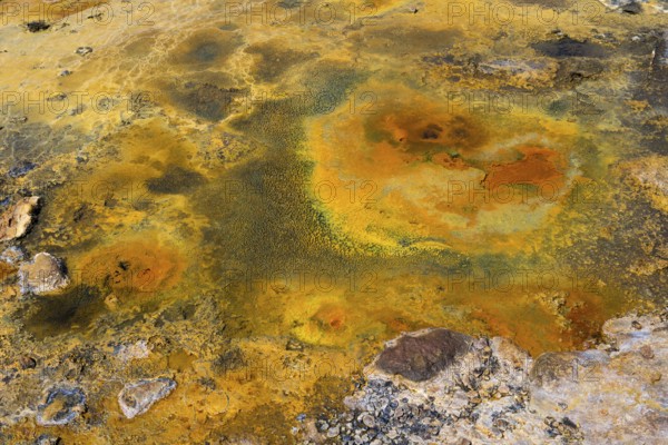 Mineral-rich geological formation in bright orange and yellow tones with rocky surface, geothermal area, rainbow rocks Tuzla, Ayvacik, Ayvacik, Çanakkale, Canakkale, Turkey