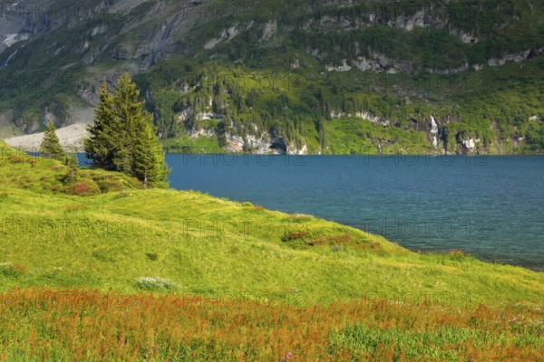 Engstlensee near Engstlenalp, Canton of Bern, Switzerland