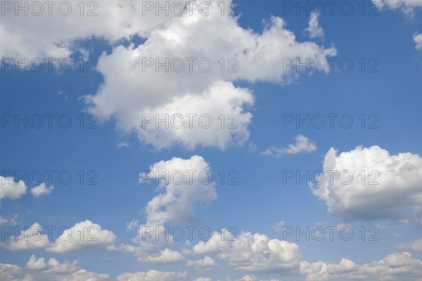 White cumulus clouds on the blue sky