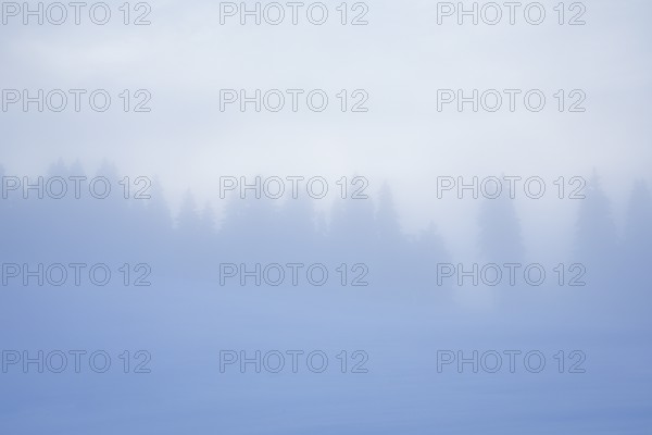 Thick fog slowly clears over snowy landscape