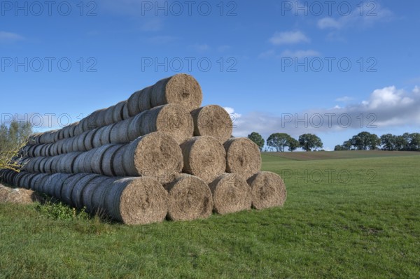 Stacked round straw bales from the agricultural cooperative on a meadow, Othenstorf, Mecklenburg-Western Pomerania, Germany