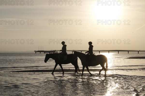 Two female riders ride their horses through the shallow water of the Baltic Sea at sunrise, Scharbeutz, 29.11.2025, Scharbeutz, Schleswig-Holstein, Germany