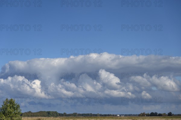 Clouds above the lagoon landscape, Ahrenshoop, Mecklenburg-Western Pomerania, Germany