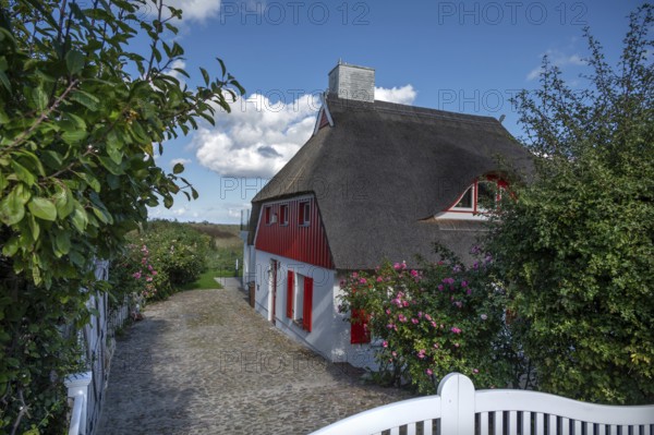 Private thatched house, Ahrenshoop, Darß, Mecklenburg-Western Pomerania, Germany