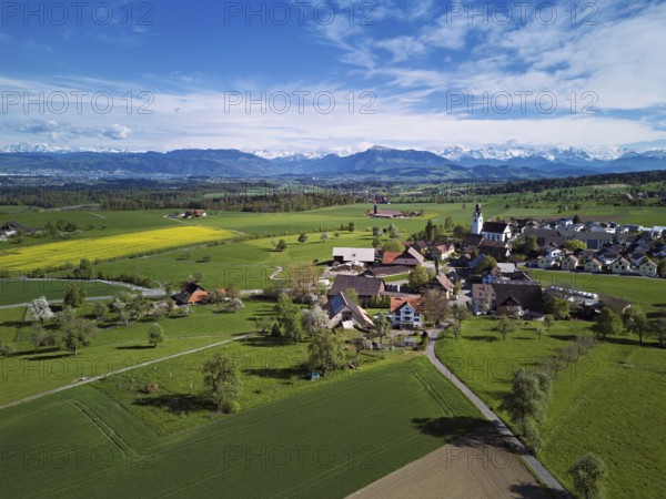 View of town with field of blooming rapeseed, Rigi and the snowy Alps in the back, Beinwil, Freiamt, Canton, Aargau, Switzerland
