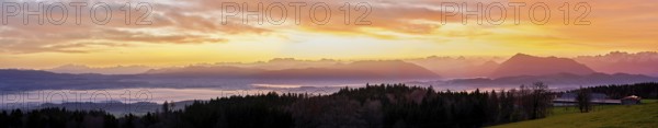Panorama from Horben with a view of the foggy Reuss Valley, in the background the Alpstein, the Glarner Alps and the Rigi, in the light of dawn, Beinwil-Freiamt, Canton of Aargau, Switzerland