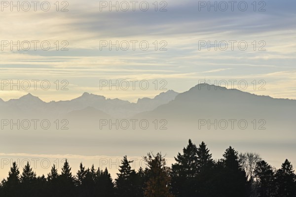 Rigi Kulm above the sea of fog, Horben, Lindenberg, Beinwil-Freiamt, Canton, Aargau, Switzerland
