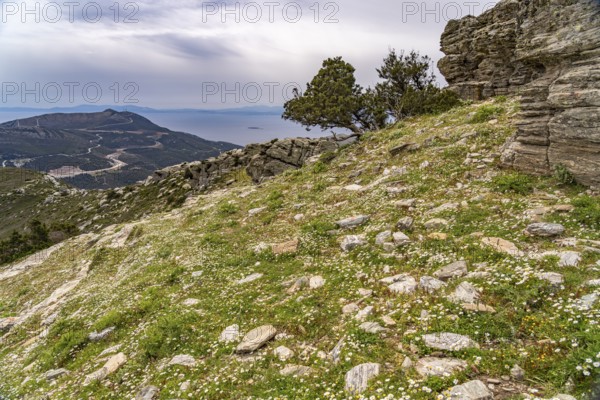 At the prehistoric Drakospita dragon houses on Mount Ochi near Styra, the island of Euboea or Evia, Greece