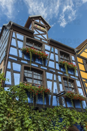 Decorated timber-frame house in the historic old town of Riquewihr, Ellsass