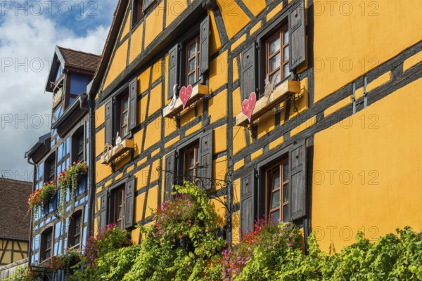 Decorated timber-frame house in the historic old town of Riquewihr, Ellsass