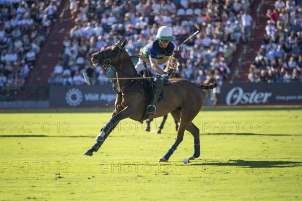 Polo player Bartolome Castagnola from Team La Natividad La Dolfina at the 132nd Argentine Open Polo Championship (Spanish 132nd Abierto Argentino de Polo de Palermo) at the Polo Stadium in Buenos Aires, Argentina