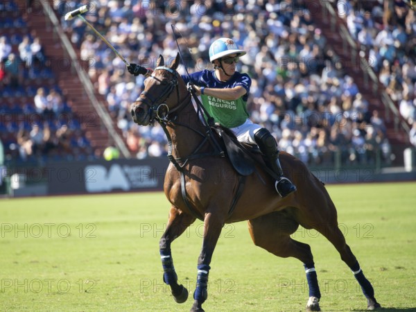 Polo player Adolfo Cambiaso called Poroto from the La Natividad La Dolfina team at the 132nd Argentine Open Polo Championship (Spanish 132nd Abierto Argentino de Polo de Palermo) at the Polo Stadium in Buenos Aires, Argentina