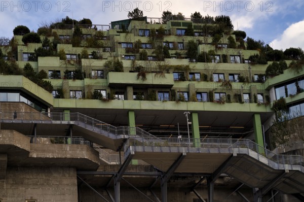 Climate-neutral façade greening, Heiligengeistfeld, Hamburg Bunker, former anti-aircraft bunker, St. Pauli, Free and Hanseatic City of Hamburg, Germany