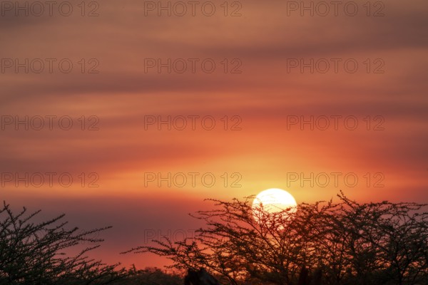 Sunset over the savanna, Savuti, Chobe National Park, Botswana