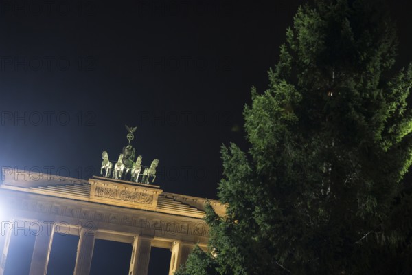 THW volunteers set up the Christmas tree delivered from Thuringia in front of the Brandenburg Gate, Berlin, 24.11.2025