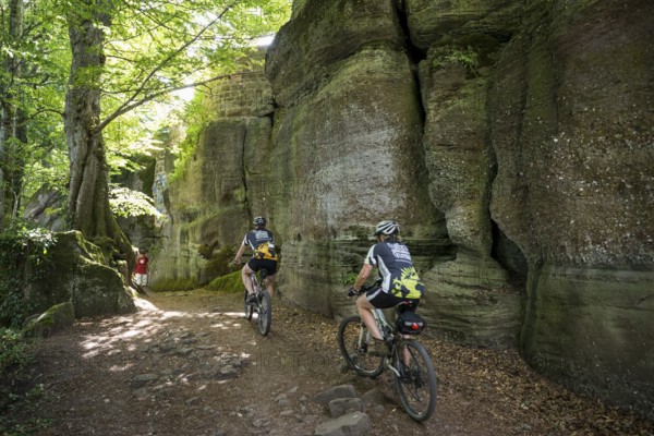 Mountain bikers and rocks, Mont Sainte-Odile Abbey, Ottrott, Bas-Rhin Department, Alsace, France