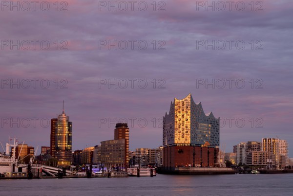 View over the Norderelbe to Elbe Philharmonic Hall, Elphie, Columbus House, Hafencity, Kehrwiederspitze, The Crown residential complex, Free and Hanseatic City of Hamburg, evening light, twilight, Germany