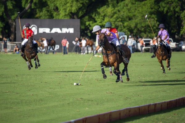 Scene at the 132nd Argentinean Open Polo Championship (Spanish 132nd Abierto Argentino de Polo de Palermo) in the Polo Stadium playing between La Irenita la Hache and La Ensenada in Buenos Aires, Argentina