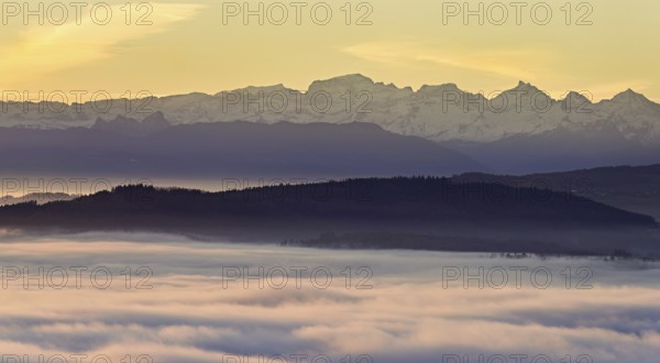 View from the Gisiflue over the sea of fog, with the snow-covered Glarner Alps in the morning light, Talheim, Canton of Aargau, Switzerland