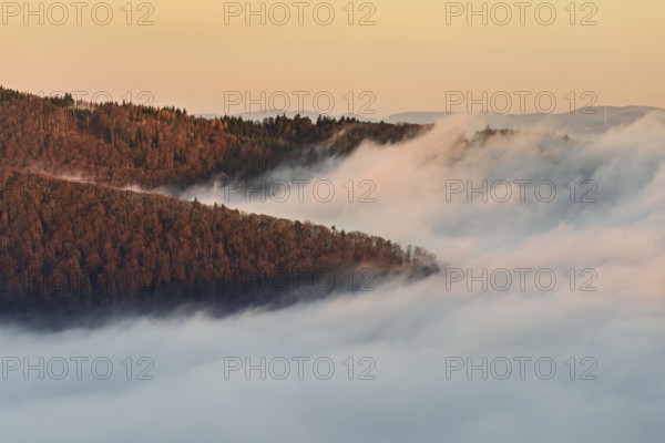 View from the Gisliflue of the Jura foothills covered in fog, in the light of dawn, Talheim, Canton, Aargau, Switzerland