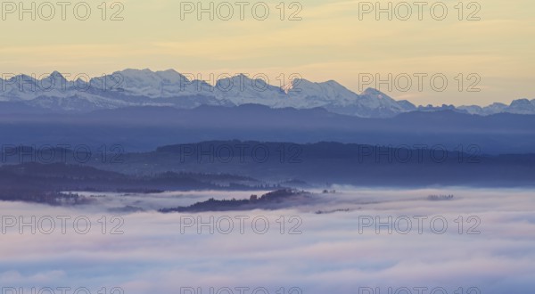 View from the Gisiflue over the sea of fog, the snowy Bernese Alps in the morning light, Talheim, Canton, Aargau, Switzerland