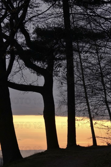 Landscape on an evening in autumn, November, Germany