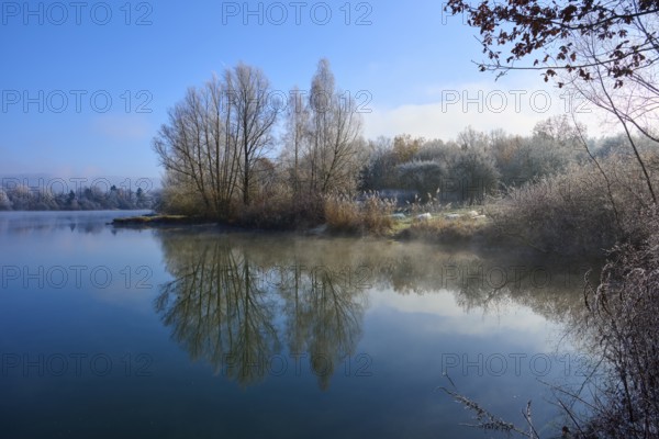 A peaceful winter morning with trees by the lake reflecting in the clear water, hoarfrost, winter, Mondsee, Mondfeld, Wertheim, Main-Tauber-Kreis, Baden-Württemberg, Germany