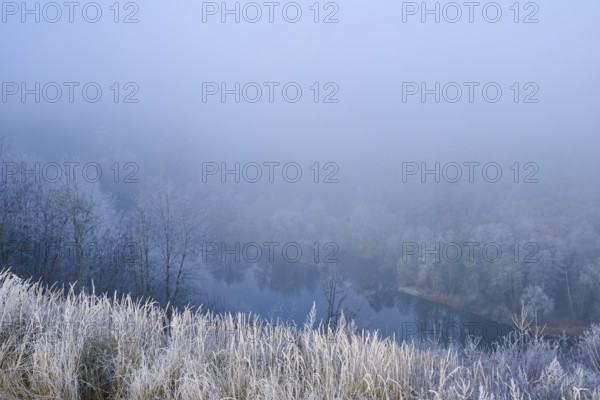 A foggy morning on a river with frost-covered trees and grass, quiet and mystical atmosphere, hoarfrost, winter, Main, Urphar, Wertheim, Main-Tauber district, Baden-Württemberg, Germany