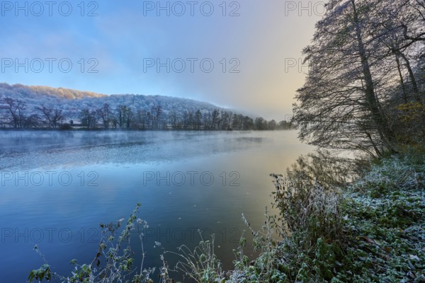 A frosty morning on the river with trees and reflecting water in shades of blue and gold, hoarfrost, winter, Collenberg, Main, Maintal, Spessart, Bavaria, Germany
