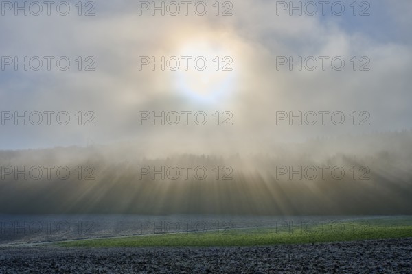 Gentle sunbeams break through the fog of a morning field, hoarfrost, winter, Urphar, Main-Tauber district, Baden-Württemberg, Germany