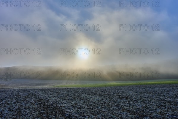 Sunrise through fog over a field with blue sky, hoarfrost, winter, Urphar, Main-Tauber district, Baden-Württemberg, Germany