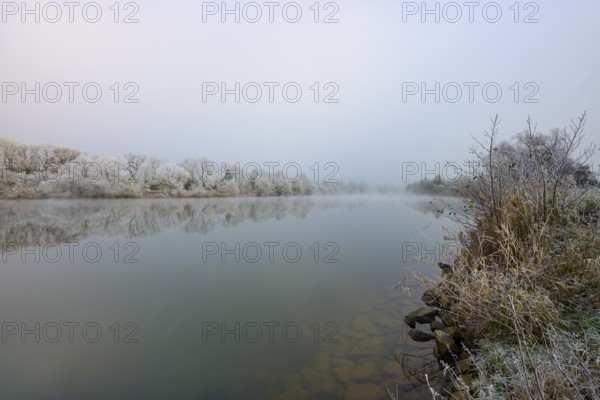 Frost-covered banks and fog-covered landscape on a quiet winter river, hoarfrost, winter, Boxtal, Main-Tauber-Kreis, Baden-Württemberg, and Stadtprozelten, Dorfprozelten, Main, Spessart, Bavaria, Germany