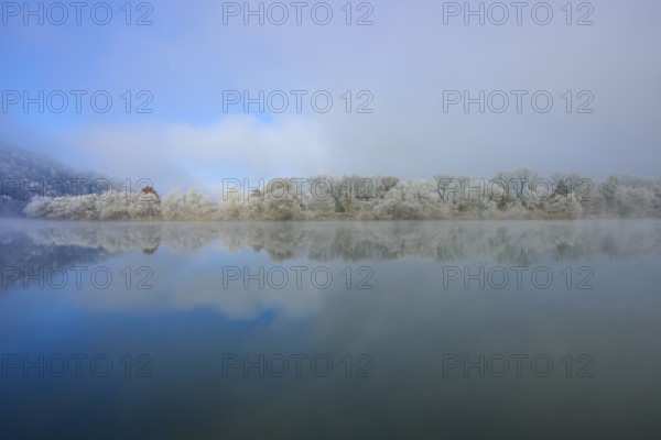 Winter landscape with a view of a clear river and snow-covered rows of trees, hoarfrost, winter, Boxtal, Main-Tauber district, Baden-Württemberg, and Stadtprozelten, Dorfprozelten, Main, Spessart, Bavaria, Germany
