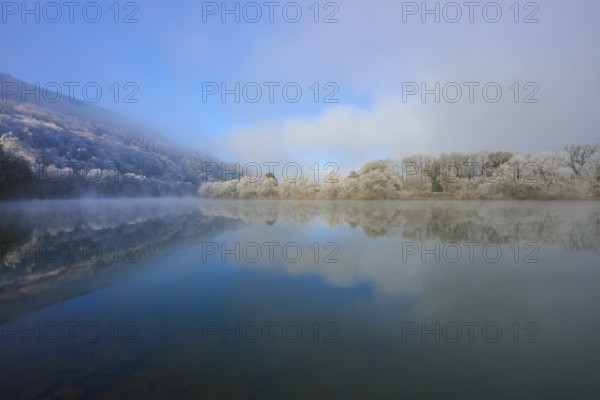 Wintery landscape with fog over a quiet river, tree-lined, hoarfrost, winter, Boxtal, Main-Tauber-Kreis, Baden-Württemberg, and Stadtprozelten, Dorfprozelten, Main, Spessart, Bavaria, Germany